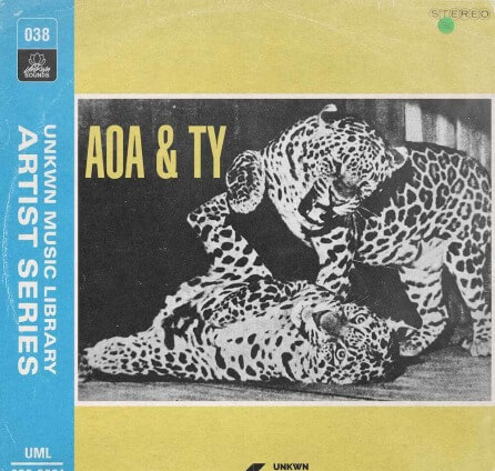 UNKWN Sounds AOA and TY Vol.1 WAV